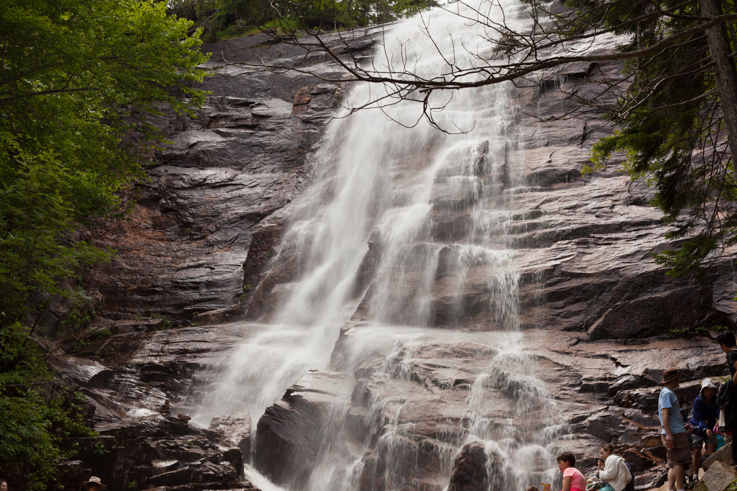 White Mountains